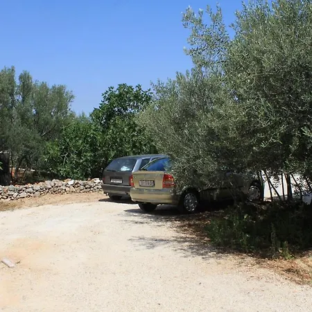 8237b דירה