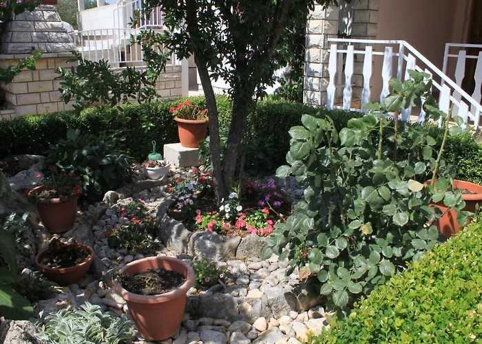8237b דירה קוקליצ'ה